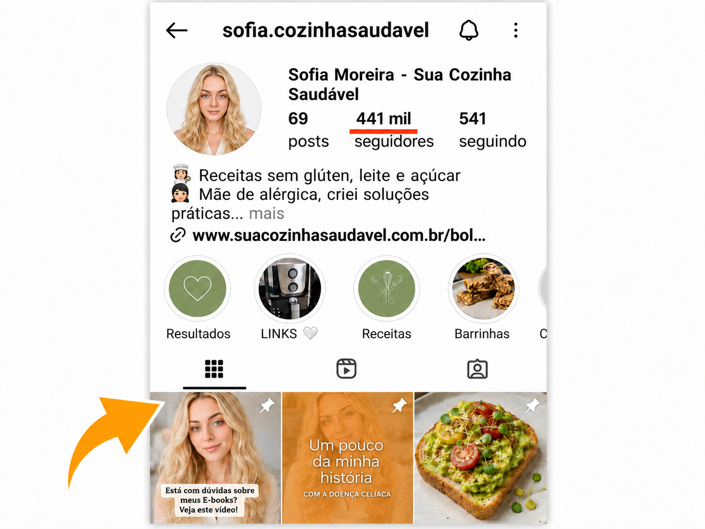 Perfil Instagram @sua.cozinhasaudavel com 344 mil seguidores